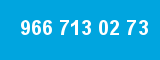 966 713 02 73